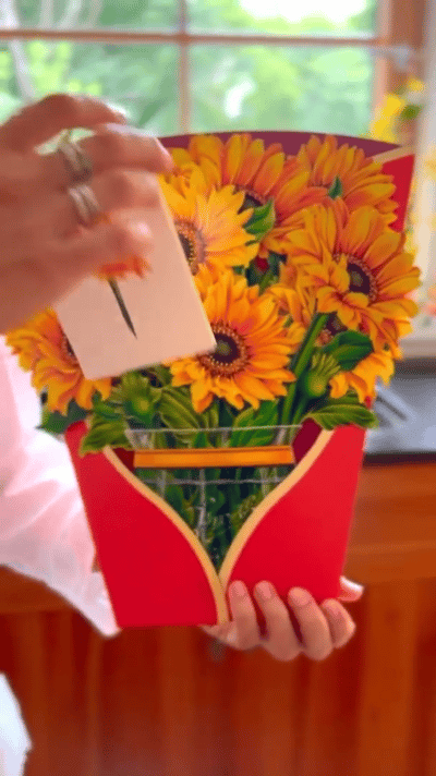 3D Stereo Greeting Card