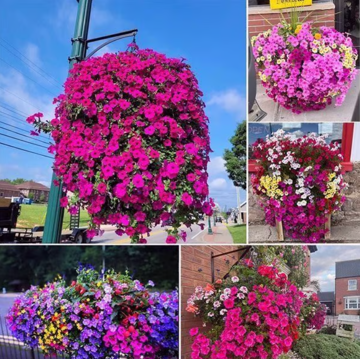 Artificial Morning Glory And Violet Floral Decoration