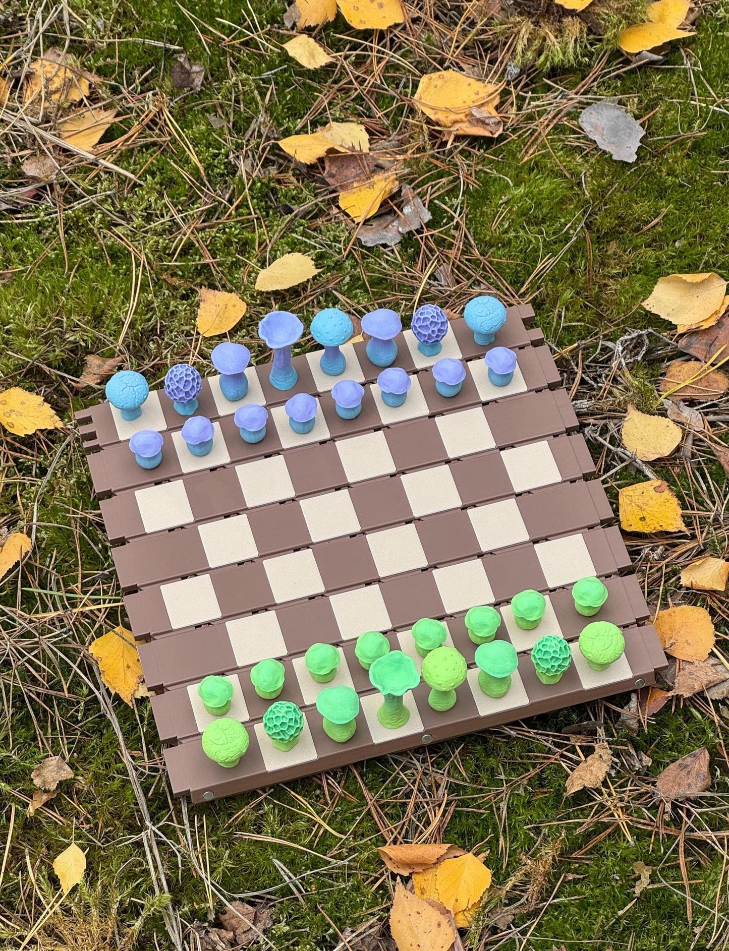 Mushroom Chessboard