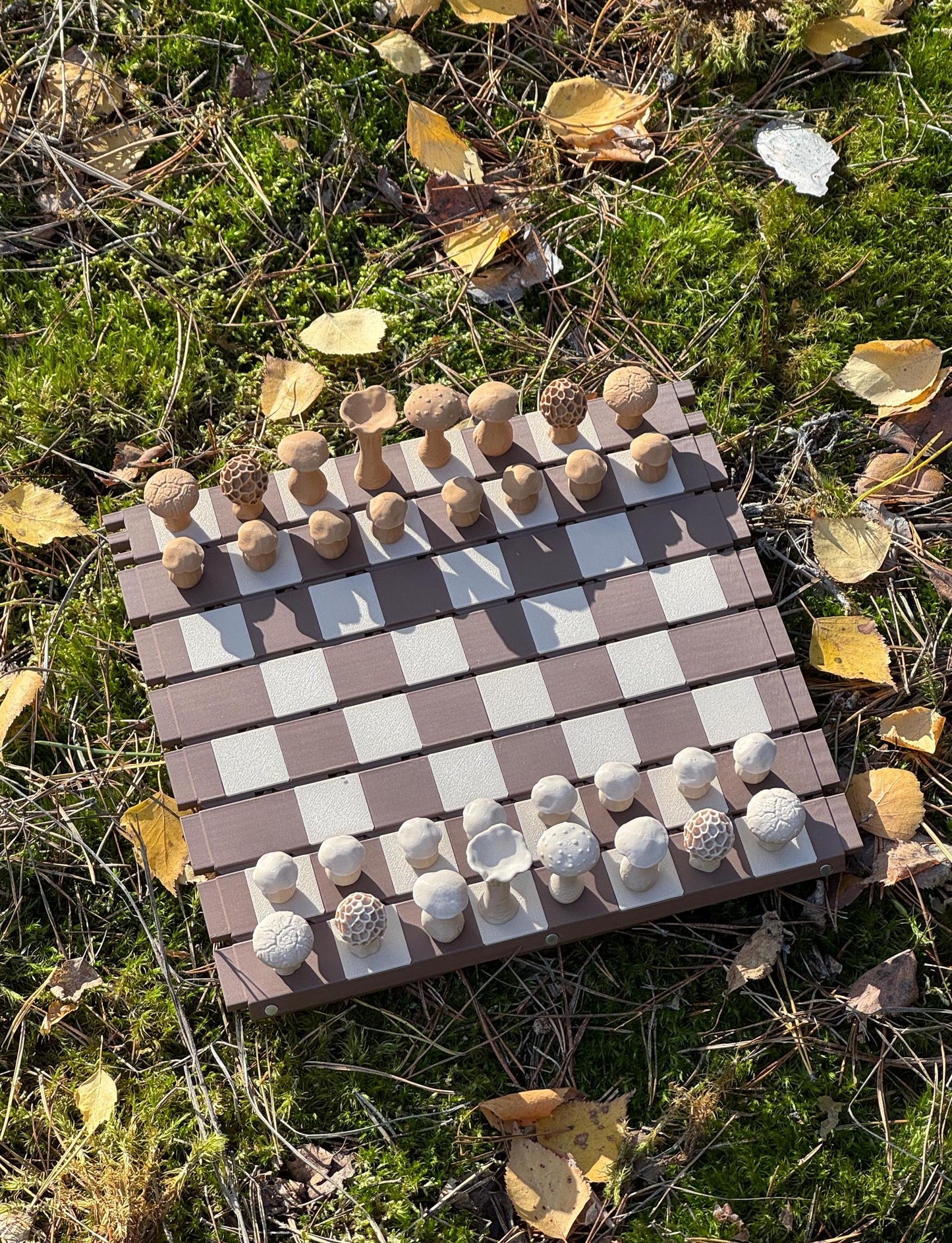 Mushroom Chessboard