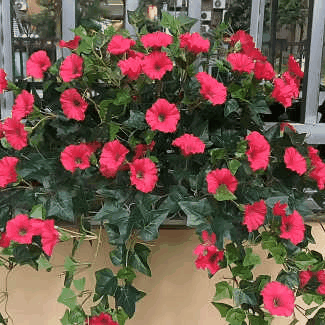 Artificial Morning Glory And Violet Floral Decoration