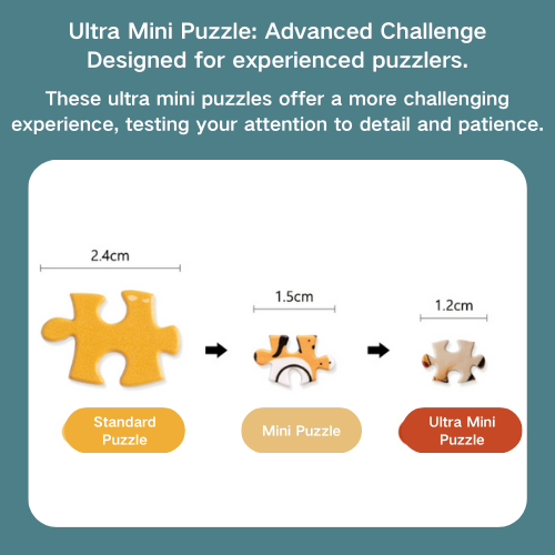 Dunhuang Portable Mirror Puzzle