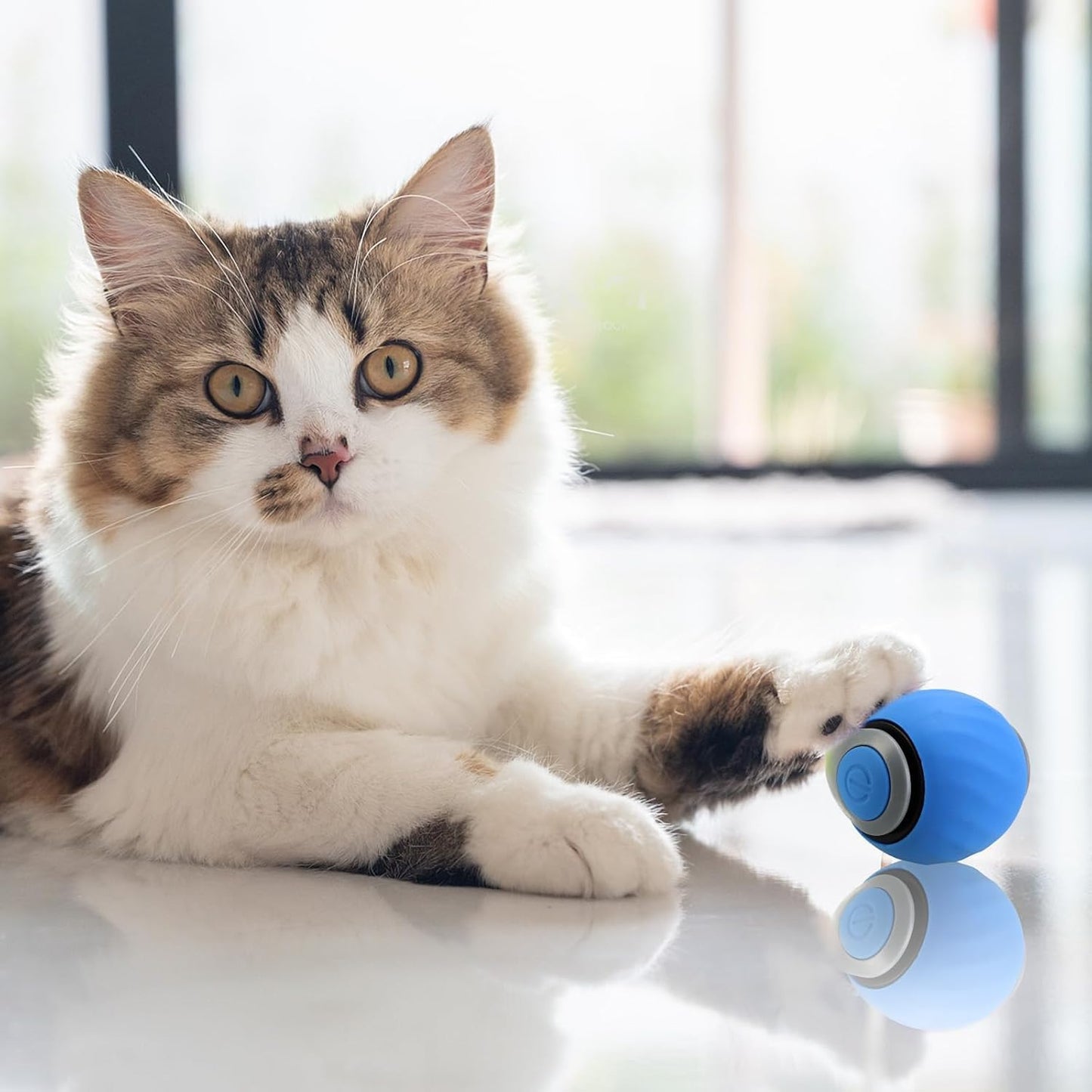 【Must-Have for Pets】Pet Tail Ball |Interactive Fun for pet
