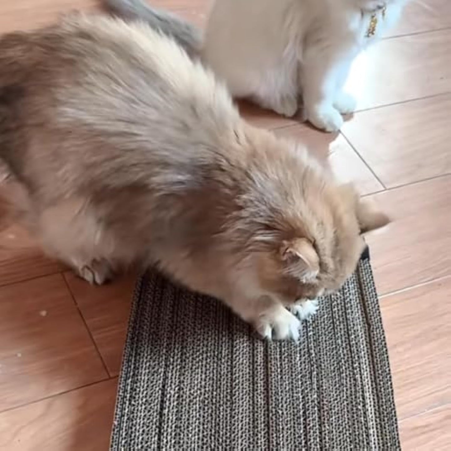 Cardboard Cutter for Cat Scratchers DIY Tool