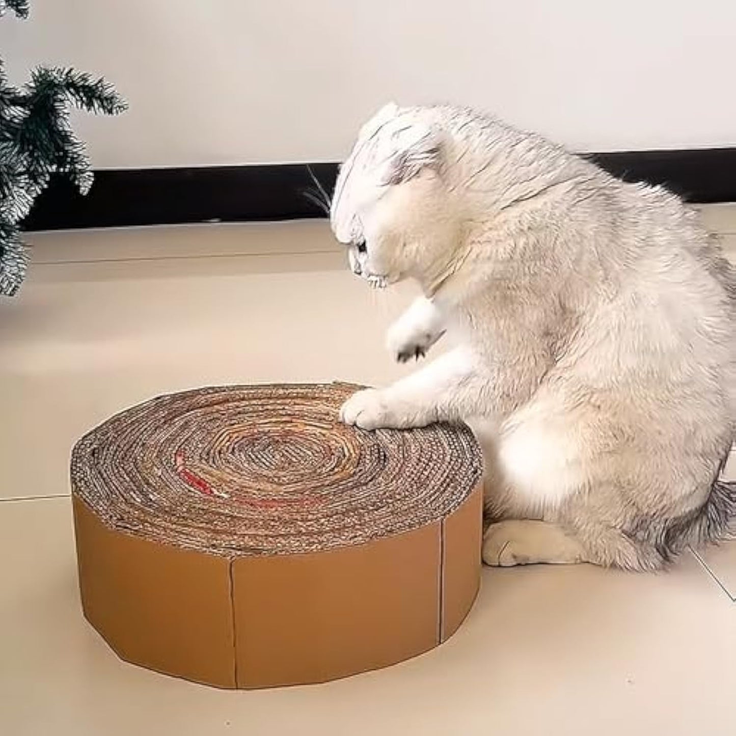 Cardboard Cutter for Cat Scratchers DIY Tool