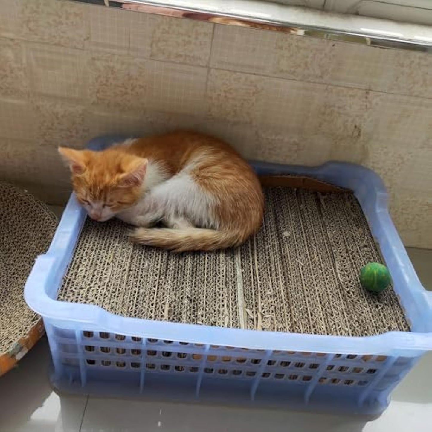 Cardboard Cutter for Cat Scratchers DIY Tool