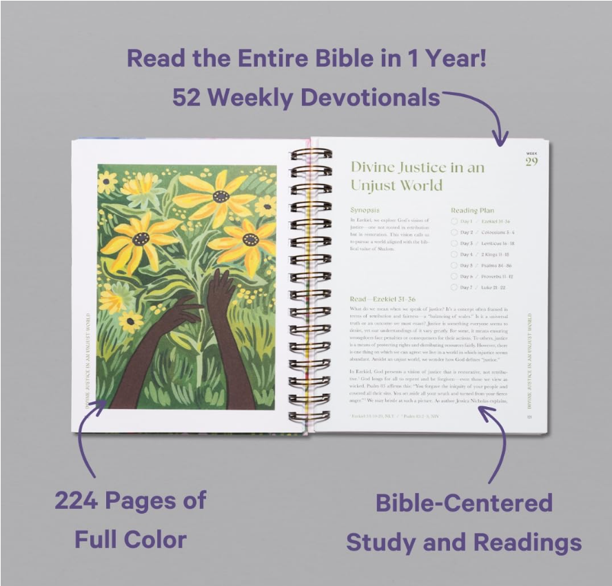 A Beautiful Year in The Bible for Women