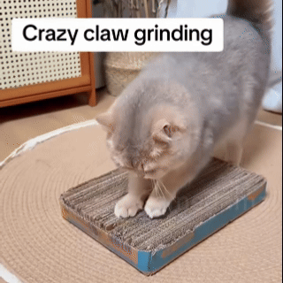 Cardboard Cutter for Cat Scratchers DIY Tool