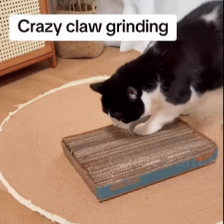Cardboard Cutter for Cat Scratchers DIY Tool