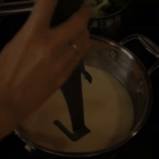 Automatic Pan Stirrer