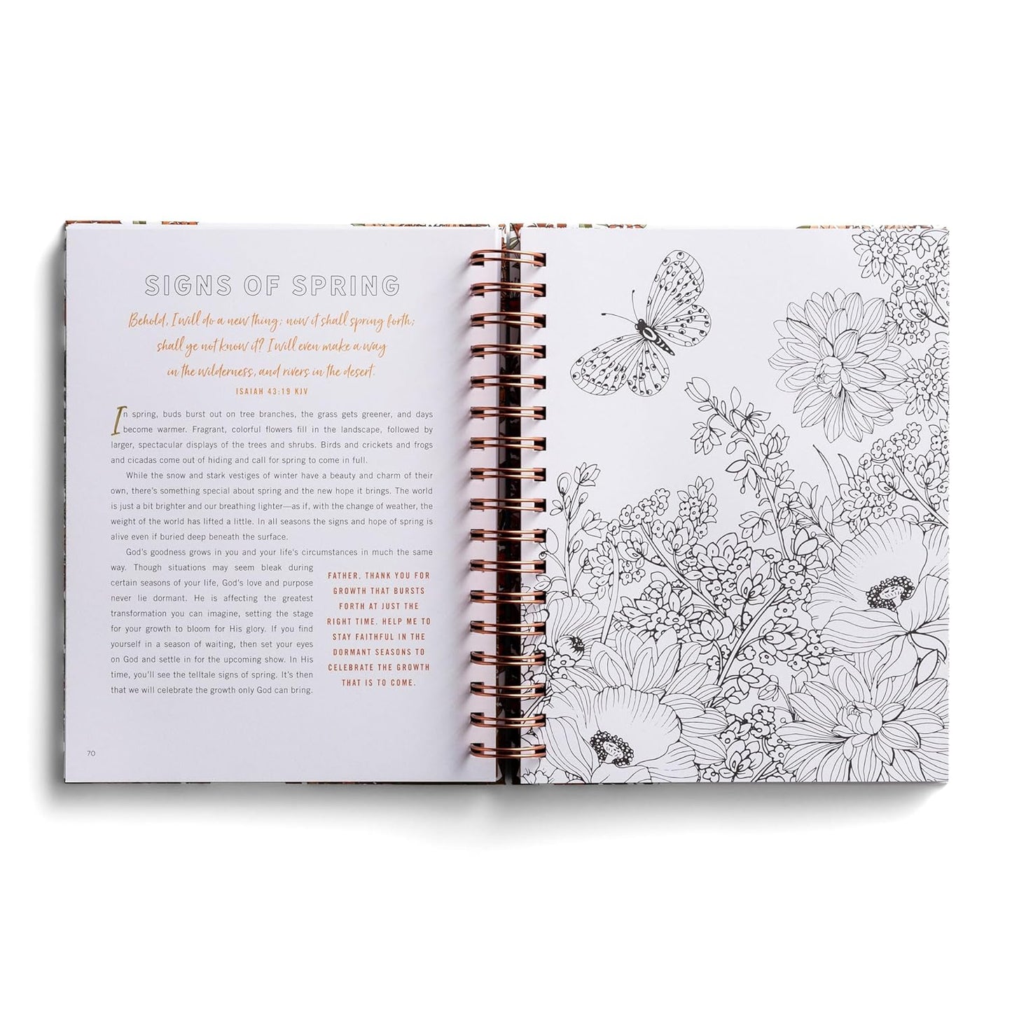 Devotional Coloring Books