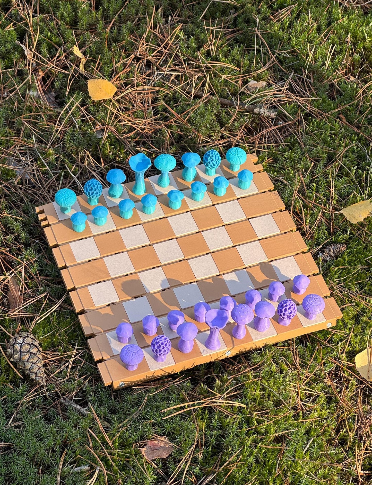 Mushroom Chessboard