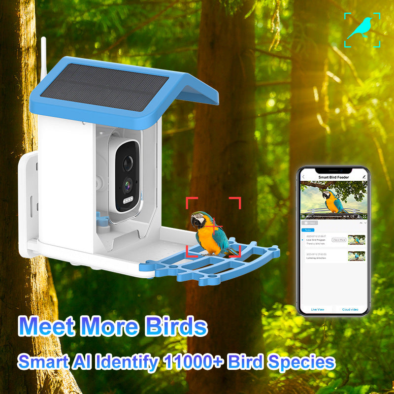 Camera Bird Feeder