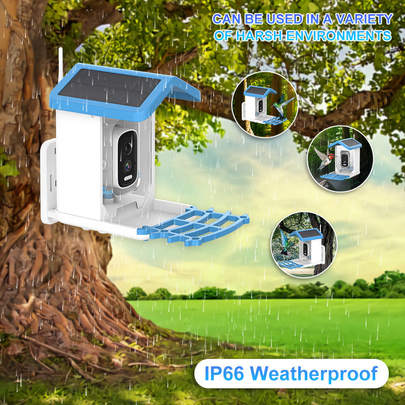 Camera Bird Feeder