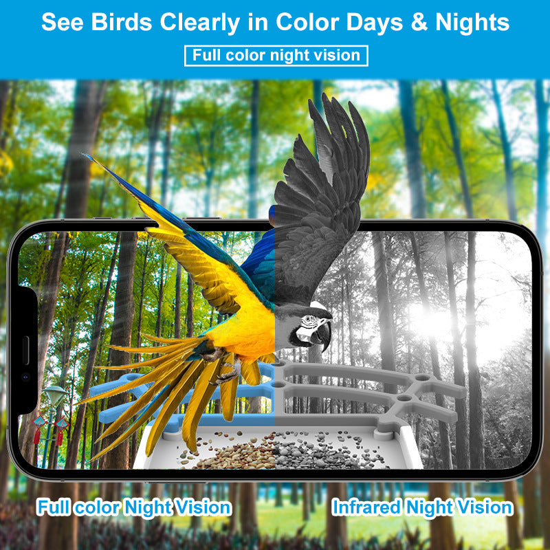 Camera Bird Feeder