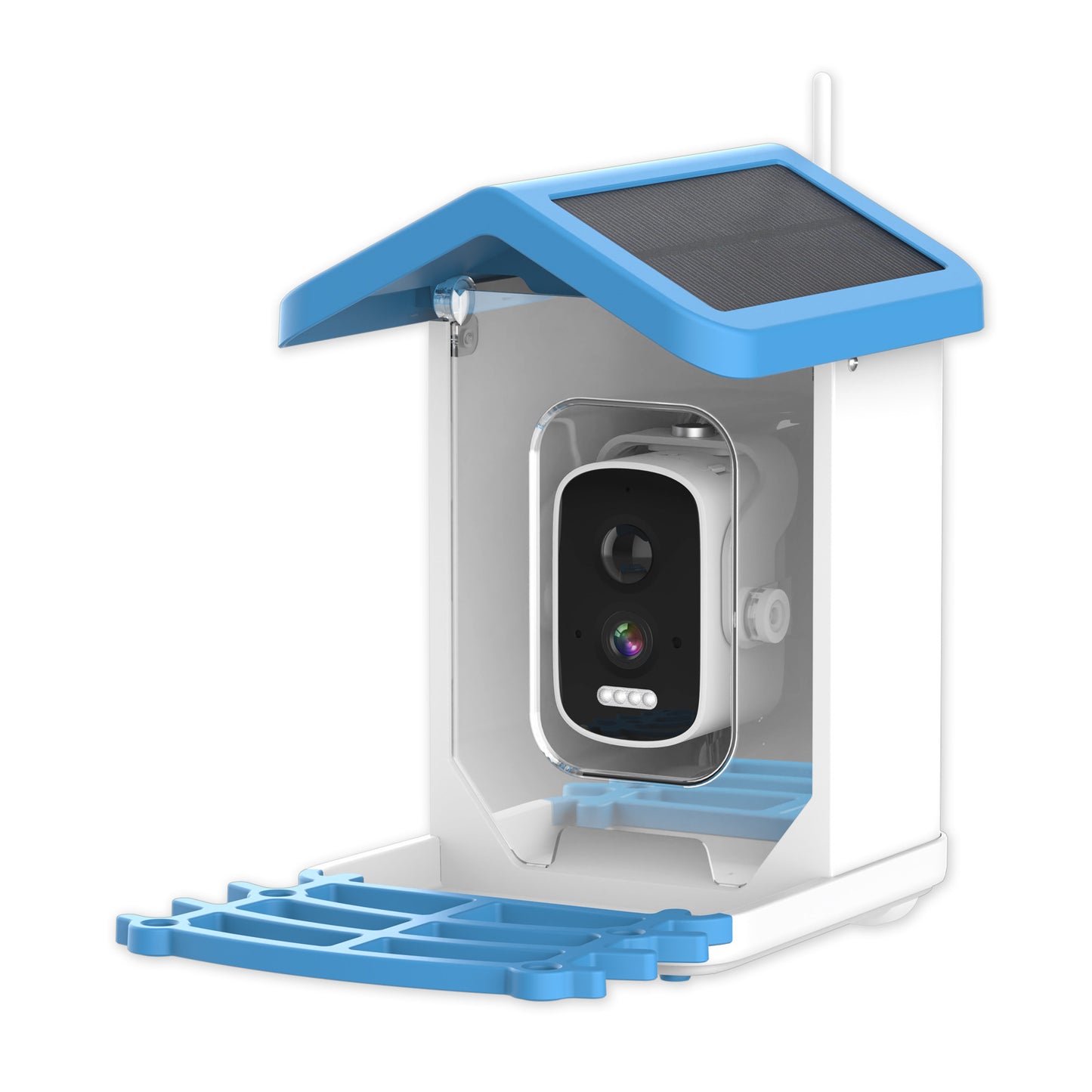 Camera Bird Feeder