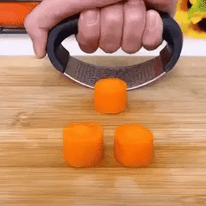 Stainless Steel Garlic Press